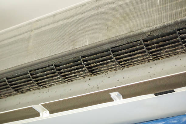 Best Local Air Duct Cleaning Services  in Port Arthur, TX